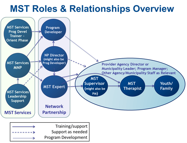 MST Roles and Relationships Overview