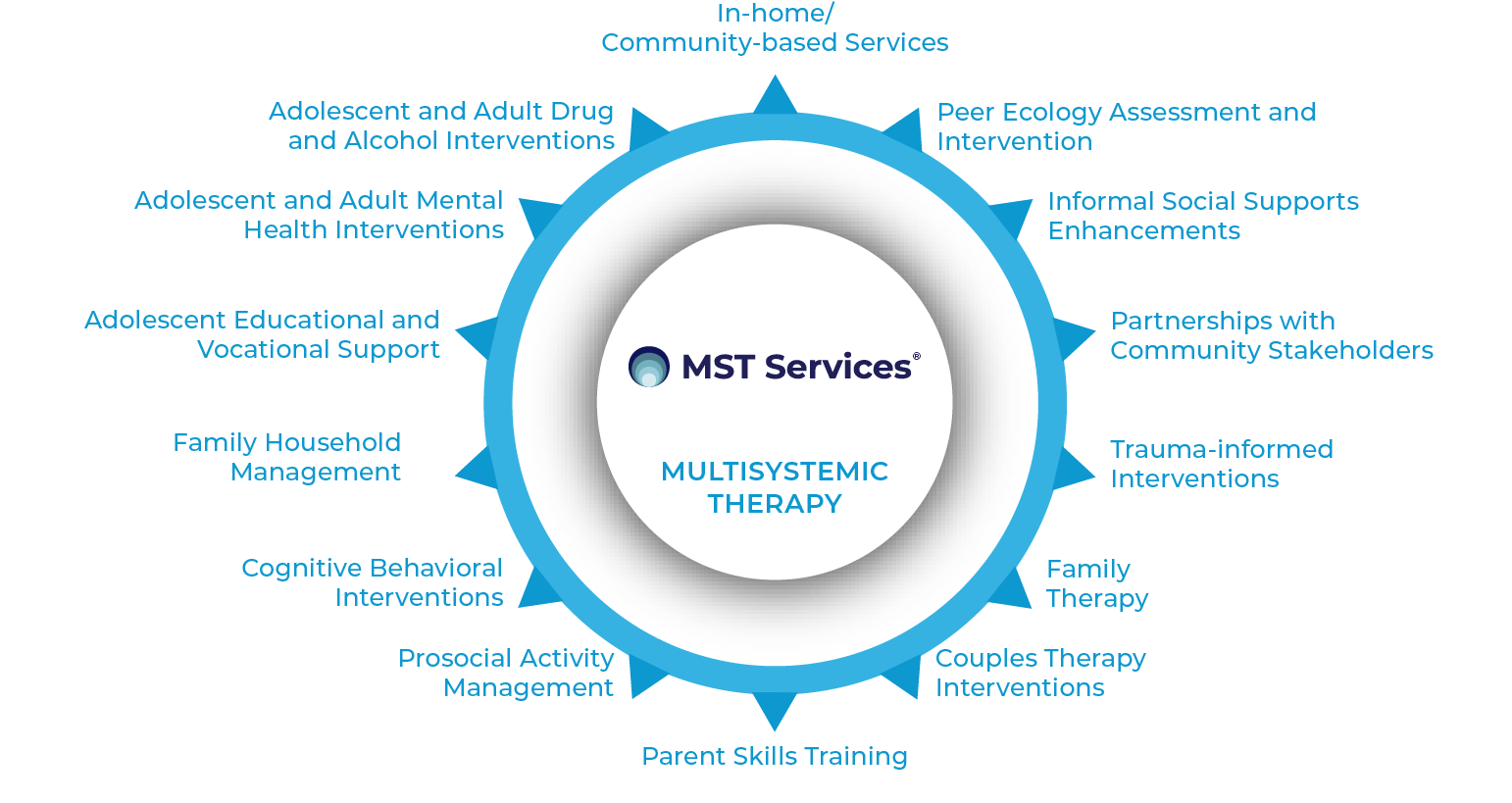 MST Services Wheel of Services